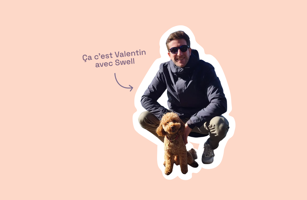 Astuces de lavage pour survivre aux dégâts de ton animal poilu (et garder ta machine en vie)