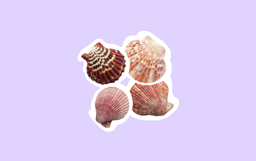 Comment préserver nos océans avec des petits gestes